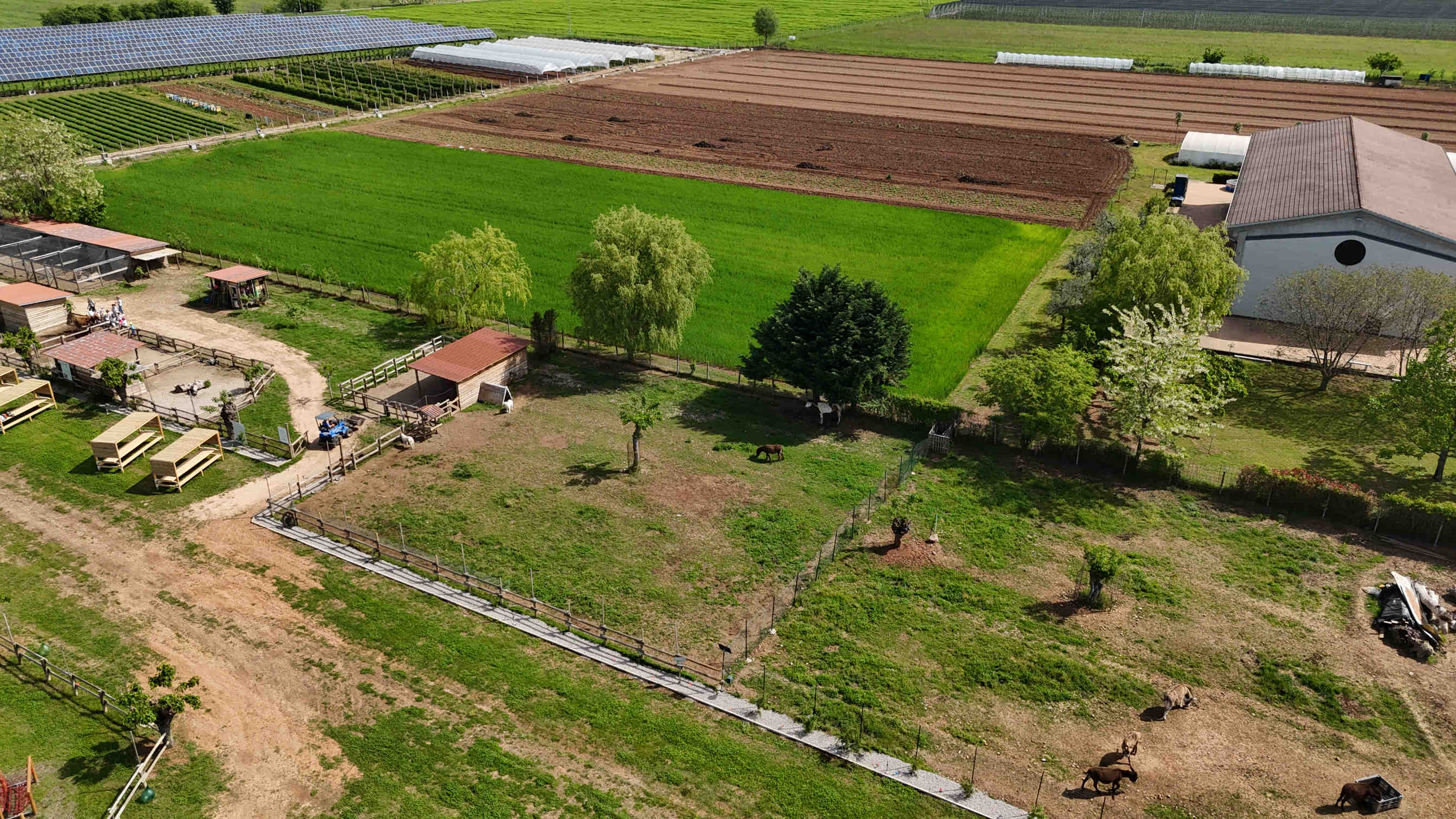 environmental.projects.forest.title